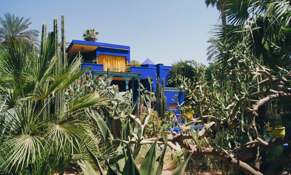 Jardin Majorelle & Musée Yves Saint Laurent